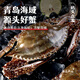【鮮活發(fā)貨】青島梭子蟹新鮮海捕上岸鮮活大螃蟹飛蟹母蟹生鮮蟹類(lèi) 【鮮活發(fā)】精選特大2斤3-6只