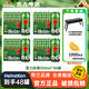 喜力【原裝正品】經(jīng)典系列500ml罐箱裝聚會(huì)全麥釀造清爽飲品啤酒 喜力經(jīng)典 500mL 48罐 整箱裝