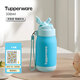 特百惠（Tupperware）保溫杯330ml兒童吸管杯男女士水杯學(xué)生便攜304不銹鋼真空保溫杯子 cc吸管保溫杯-藍色 330ml