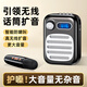 聽(tīng)聲者小蜜蜂擴音器教師專(zhuān)用長(cháng)續航擴音器音箱小喇叭腰掛無(wú)線(xiàn)領(lǐng)夾麥小巧便攜式上課寶音響大音量清晰護嗓 黑色手持話(huà)筒版【原聲擴音-升級DSP芯片-防嘯叫】