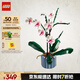 樂高（LEGO）積木拼裝10311 蘭花永生花男孩女孩女生玩具生日禮物