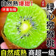 【果園直發(fā)】正宗湘西綠心獼猴桃新鮮水果奇異果現(xiàn)摘米糧1號(hào)水果 5斤帶箱凈重4.5斤 優(yōu)選裝單果70-90g