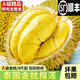 大口七八順豐正宗泰國(guó)金枕榴蓮2/10斤新鮮水果金枕頭榴蓮帶殼整果送禮 A級(jí)丨2-3斤單果裝丨包3房
