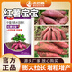 沃巴盾紅薯寶寶紅薯專(zhuān)用葉面肥只長(cháng)紅薯不長(cháng)葉控旺膨大劑控旺矮化劑 50克10袋