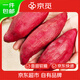 京覓臨安天目山小香薯 凈重3斤 大果150g+ 軟糯板栗番薯 源頭直發(fā)包郵
