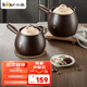 小熊（Bear）中藥砂鍋 耐高溫中藥鍋煎藥壺3L燃?xì)庠畎舅幪沾慑佒兴幑轌0069-P02