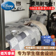 迪士尼（Disney）大學(xué)生宿舍六件套純棉100%被褥全套全棉三件套+被子被芯+乳膠墊枕 菲拉格 0.9/1.2 床單款 三件套-被套150*200