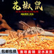 花椒鼠老鼠魚(yú)清道夫金苔鼠胡子底棲魚(yú)除藻清潔工具魚(yú)熱帶觀(guān)賞魚(yú) 1.5-2.5cm花椒鼠3條