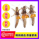 十里饞當季新鮮冷凍 全母螞蚱 去翅帶卵籽蝗蟲(chóng)  雌螞蚱 蚱蜢 東亞飛蝗蟲(chóng) 【全母帶籽去翅膀2斤】