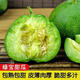 【爆甜品】山東現(xiàn)摘綠寶石甜瓜 新鮮應(yīng)當(dāng)季甜瓜整箱水果 5斤【凈重4.5斤】 超值單果160g+
