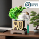 楚象如意百財(cái)白菜招財(cái)擺件客廳玄關(guān)電視酒柜公司店鋪工藝品開業(yè)禮物 如意白菜發(fā)財(cái)擺件【禮盒裝】