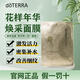 多特瑞木蘭花花樣年華玫瑰臻顏依蘭睡眠植萃補水面膜doterra旗艦正品 花樣年華（激發(fā)活力） 35g*5