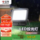 公牛（BULL）LED庭院燈工地?zé)魣@林照明露營燈 IP65防水100W-6500K白光