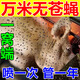 蒼蠅藥養(yǎng)殖場專用滅蒼蠅神器滅蠅器豬場牛場雞場用驅(qū)趕蒼蠅蚊蟲 1包【農(nóng)舍室內(nèi)外通用】100g