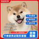 柴犬幼犬寵物狗活體日本柴犬純種幼崽柴狗小狗仔赤柴活物豆柴黑柴 寵物級 母