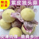 25年正宗云南紫皮獨頭蒜頭新蒜 云南原產(chǎn)地糖蒜臘八蒜時(shí)令蔬菜 3斤3.5-4cm特大果(凈重2.7斤)