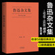魯迅雜文集 一本好書官方指定版 從1918年《隨感錄》到1936年離世，自魯迅先生16部雜文集中精選38篇