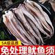 【順豐包郵】魷魚須新鮮冷凍二本足半成品燒烤專用鐵板魷魚八爪魚 新鮮魷魚須3斤