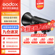 神牛（Godox）補(bǔ)光燈sl150bi三代雙色溫?cái)z影常亮燈直播補(bǔ)光燈視頻直播補(bǔ)光燈直播人像拍照美顏柔光燈影視燈 SL150BI三代【全新升級(jí)三代，手機(jī)藍(lán)牙控制】 雙色溫版