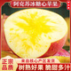 梓樂(lè )果正宗新疆阿克蘇冰糖心蘋(píng)果新鮮孕婦水果脆甜大果丑紅富士整箱禮盒 9斤 90mm-95mm 精品禮盒裝