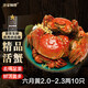 【活蟹】漁家?guī)煾荡箝l蟹2-2.3兩10只 去繩足重鮮活六月黃現(xiàn)貨螃蟹生鮮水產(chǎn)禮盒源頭直發(fā)