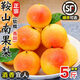 翠鮮令正宗鞍山特產(chǎn)南果梨新鮮水果當季東北遼寧南國梨紅果小香梨子 特大果王-20枚裝單果110g+ 南果梨凈重4.5斤