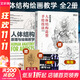 人體結構原理與繪畫(huà)教學(xué) 肖瑋春 人物結構造型繪畫(huà)零基礎入門(mén) 贈人體動(dòng)態(tài)海報+視頻 人體結構繪畫(huà)教學(xué)2冊（原理與繪畫(huà)教學(xué)+造型手繪技法