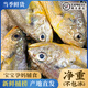 鮮喜利真正舟山小黃魚新鮮冷凍深海海鮮水產(chǎn)黃花魚生鮮冰鮮海魚商用燒烤 7-8條/斤【凈重3斤裝】