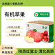 有機(jī)蘋果紅富士水果禮盒陜西農(nóng)場直發(fā)新鮮配送自然成熟不打蠟新果 75mm 12顆 2.5kg（含箱重）