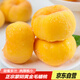 京地達山東蒙陰黃毛蟠桃 凈重5斤 單果約150g 桃子水果源頭直發(fā)包郵