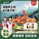 楊博士【童子雞】安徽皖南散養(yǎng)土雞小公雞新鮮雞肉1只凈重1.3斤源頭直發(fā) 3只童子雞丨贈一只原切童子雞