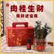 柬渝無火香薰禮盒DIY肉桂生財瓶生日禮物女伴手禮開業(yè)搬家禮物擺件 【沉香木與佛手柑】DIY香薰擺件