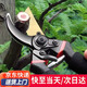 弘工果樹枝條修枝剪刀樹枝園藝園林花園花藝花剪強(qiáng)力省力剪子
