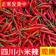 辰實(shí)【現摘】四川小米辣新鮮 紅辣椒特辣 農家朝天椒剁泡椒紅小米椒 8斤 （劃算）