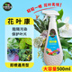 卡納瑪朵花葉康噴霧劑花卉綠植多肉月季蘭花炭疽灰霉葉斑黑斑病通用園藝 1瓶500ml