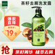 仙維娜洗發(fā)水茶籽植物去屑柔順洗發(fā)露男女士通用家庭裝洗頭水 茶籽去屑洗發(fā)露350ml