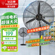 鉆石牌工業(yè)風(fēng)扇大風(fēng)力電風(fēng)扇牛角扇大功率工業(yè)大風(fēng)扇工廠(chǎng)車(chē)間商用立式落地扇吹除甲醛FS-65