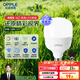 歐普（OPPLE）LED燈泡節能燈泡E27大螺口家用商用擺攤大功率廠(chǎng)房工礦燈30瓦白光