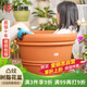 愛麗思花盆樹脂塑料多肉花盆加厚防陶瓷種花種樹凸紋愛麗絲 10號茶色