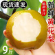 新鮮5斤當季水果現摘黃皮梨皇冠梨酥脆梨非翠冠梨大果整箱 帶箱5斤 大果