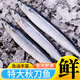 秋刀魚新鮮冷凍特大號鮮活海魚批發(fā)商用日式燒烤食材 【特大凈重】4斤裝【4-5條/斤】