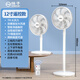 揚子電風(fēng)扇落地扇家用宿舍臺式立式搖頭定時智能遙控節(jié)能落地電扇 12英寸遙控/觸屏款 無規(guī)格