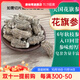 康裕尊 美國西洋參花旗參原叢條帶腳參條參段粒頭整枝支 【單枝7-10克/500克】軟枝參粒頭 .