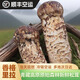 北森南嶼香格里拉新鮮松茸未開傘鮮松茸鮮菌菇禮盒裝冷鏈空運快至24小時達 [禮盒]未開傘4-6cm 1000g