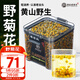 老谷頭野菊花材正宗新貨野菊花胎菊泡茶泡水