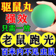 驅鼠神器老鼠驅趕藥強效家用室內汽車(chē)發(fā)動(dòng)機艙防驅鼠丸一窩端噴霧 驅鼠特效丸1袋*驅防鼠神器*強效
