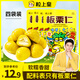 粒上皇板栗仁45g*4袋  休閑零食栗子仁熟板栗 板栗仁即食