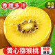 京典光年四川蒲江黃心獼猴桃 奇異果 新鮮水果 30枚【50g-70g】