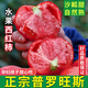 康田匯 陜西普羅旺斯水果西紅柿番茄沙瓤可生吃新鮮采摘新鮮蔬菜 2.5斤 泡沫托裝A級(jí)果凈2斤+ 源頭直發(fā)