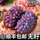 正宗東北茉莉香葡萄4斤新鮮無(wú)籽水果當(dāng)季現(xiàn)摘郁金玫瑰香紅提順豐L 凈重4斤裝【5-8串】順豐快遞